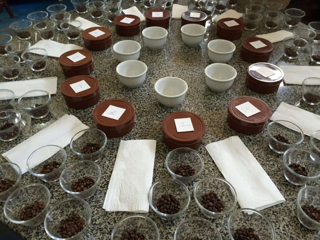 Coffee samples, tasting cups and numbered containers arranged for cupping during a 2015 visit to a coffee-growing region in Brazil.