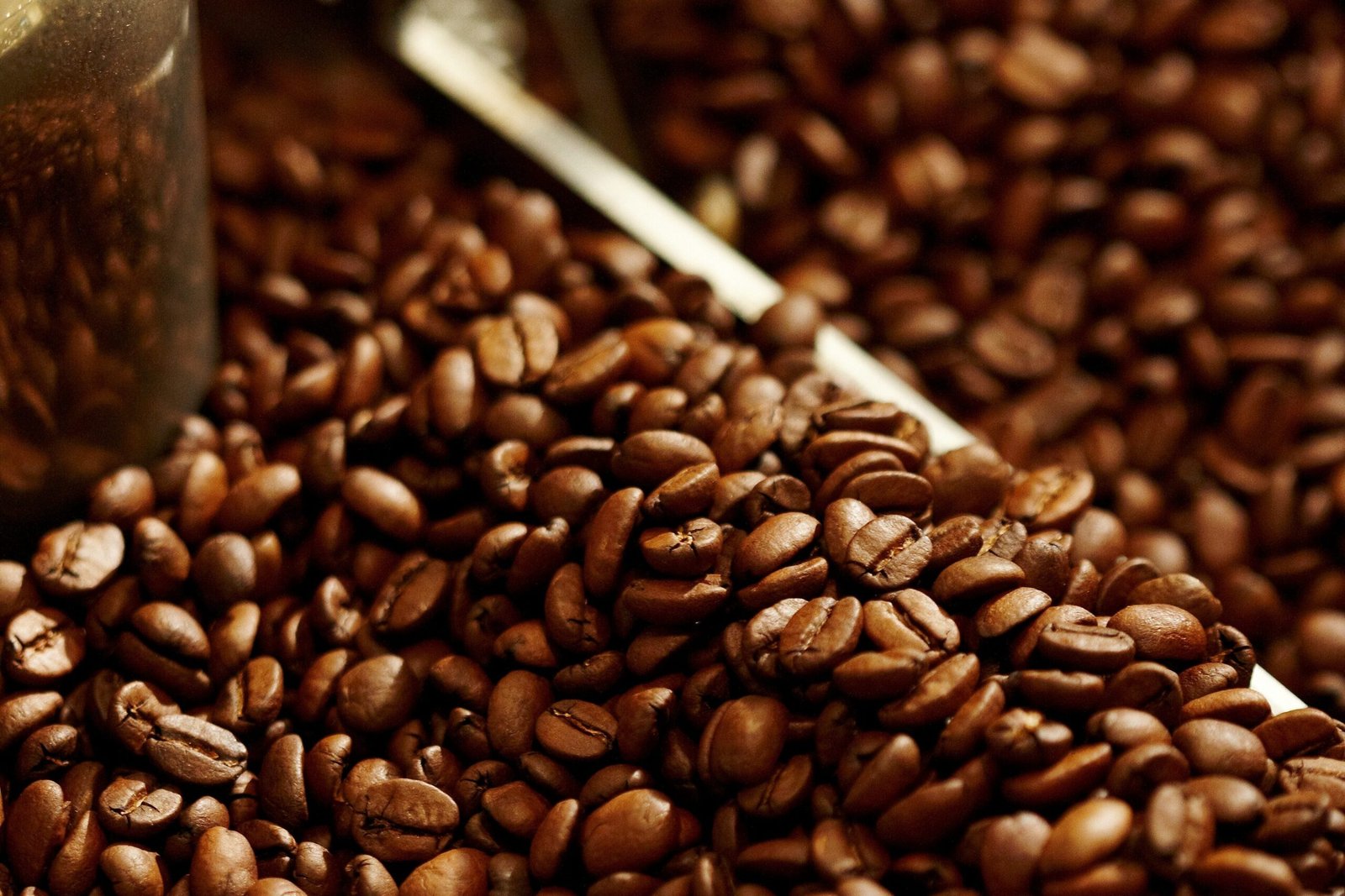 Roasted coffee beans in a coffee roaster cooling tray